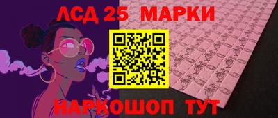 гашик Гатчина