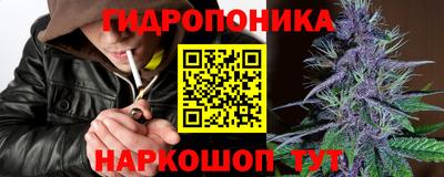 шишки Азнакаево