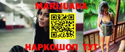 гашик Гатчина