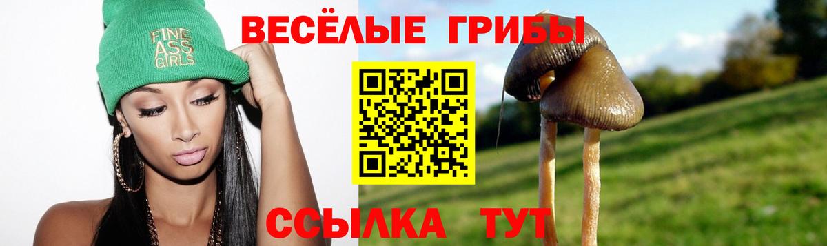 Нерюнгри  Псилоцибиновые грибы MAGIC MUSHROOMS  Вход с VPN  Галлюциногенные грибы Psilocybe 